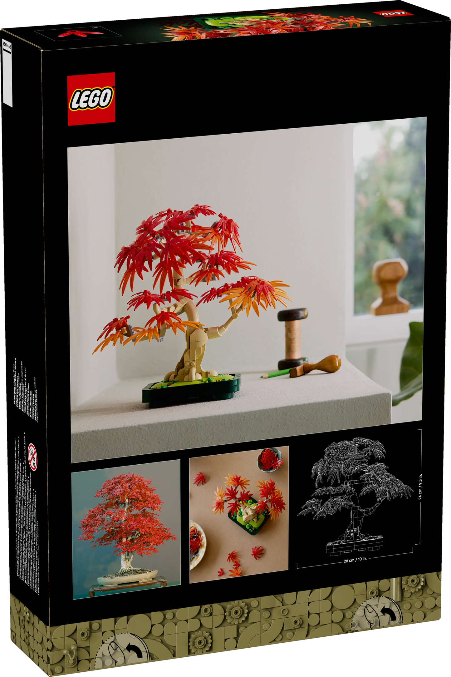 Bonsái de Arce Rojo Japonés
