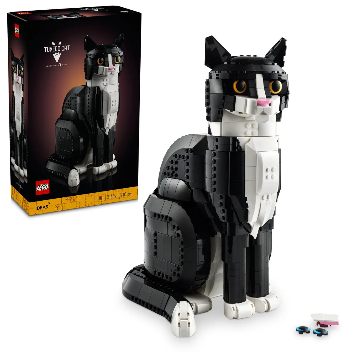 Gato Bicolor