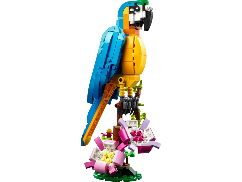 Loro Exótico
