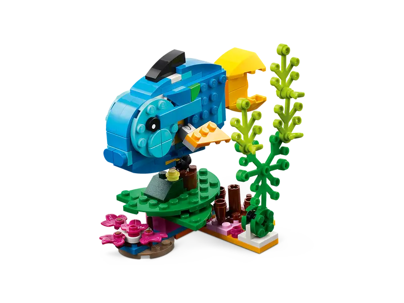 Loro Exótico