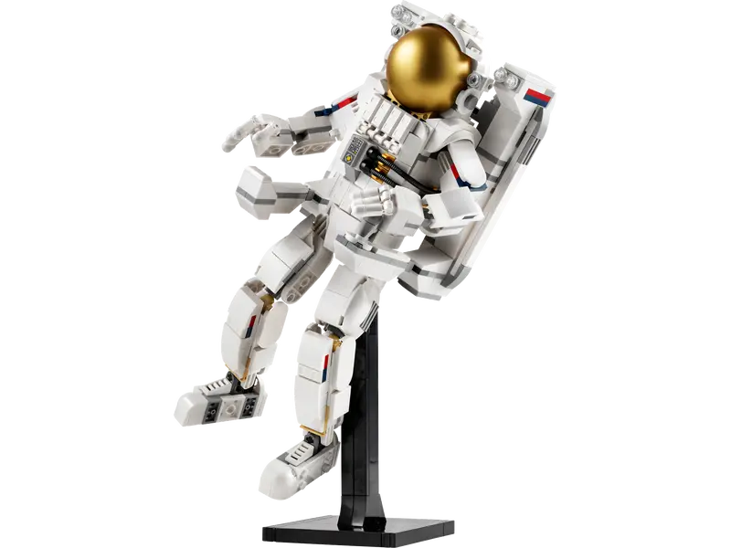 Astronauta Espacial