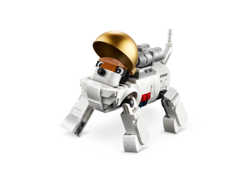 Astronauta Espacial