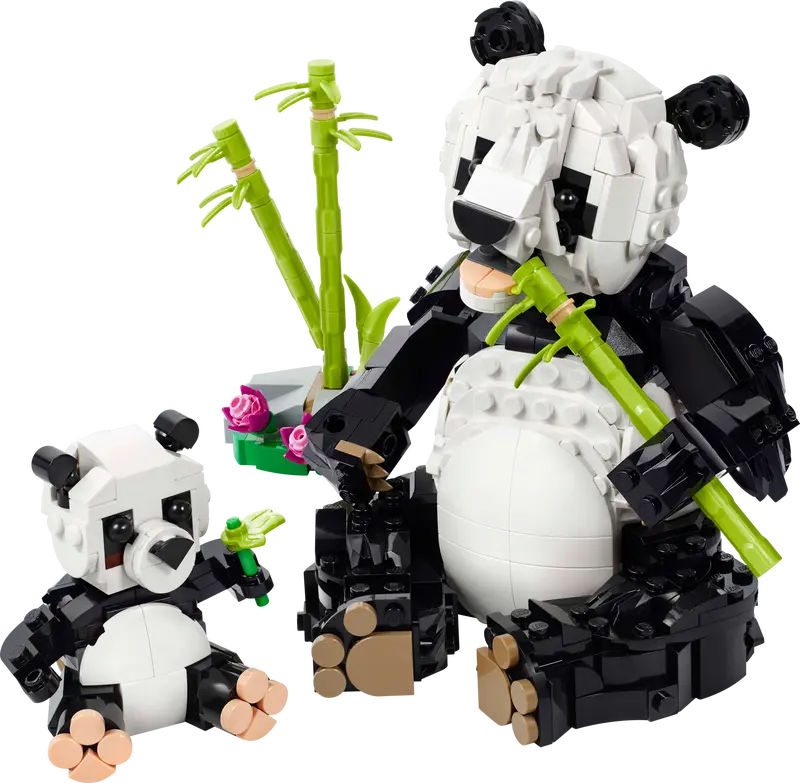 Fauna Salvaje: Familia de Pandas