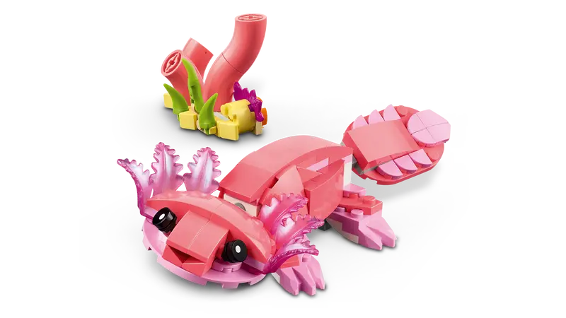 Fauna Salvaje: Flamenco Rosa