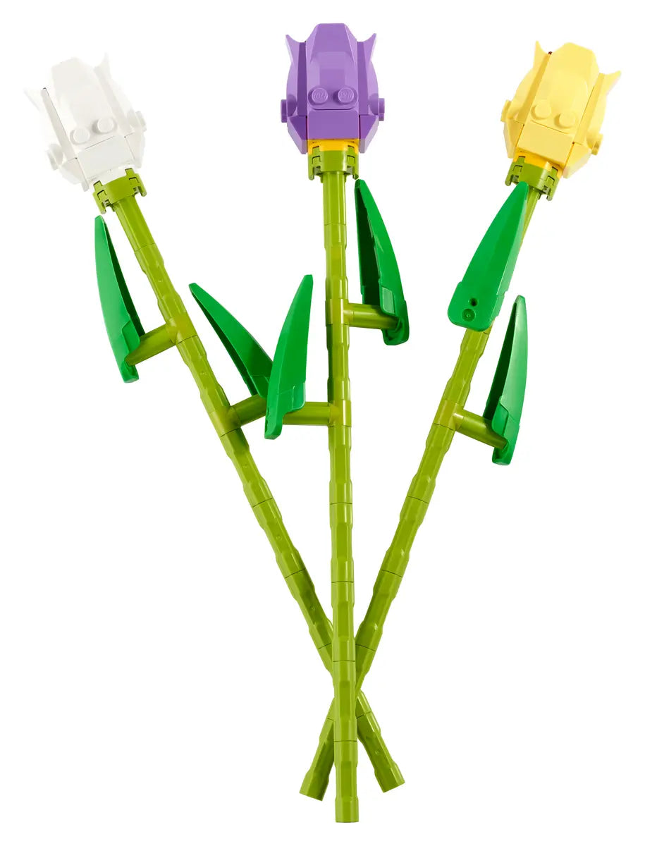 Tulipanes