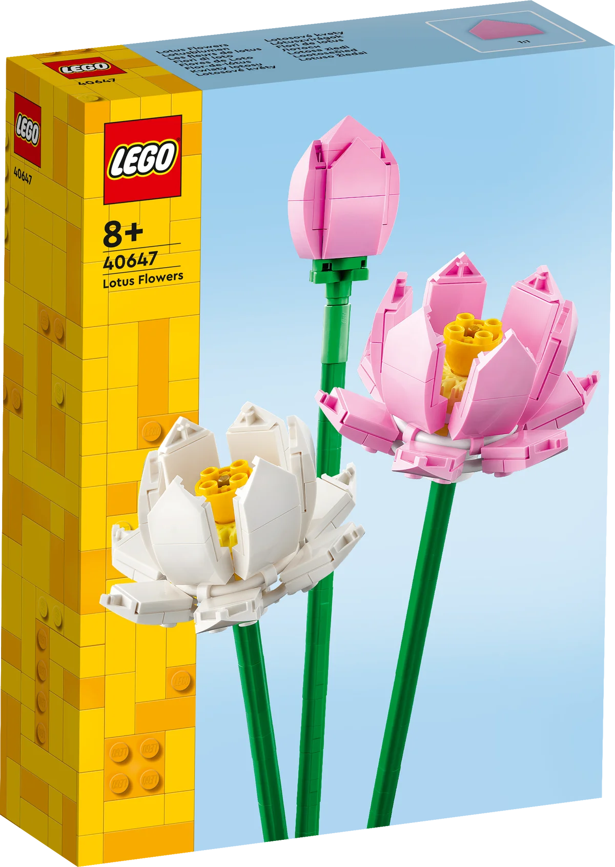 Flores de Loto