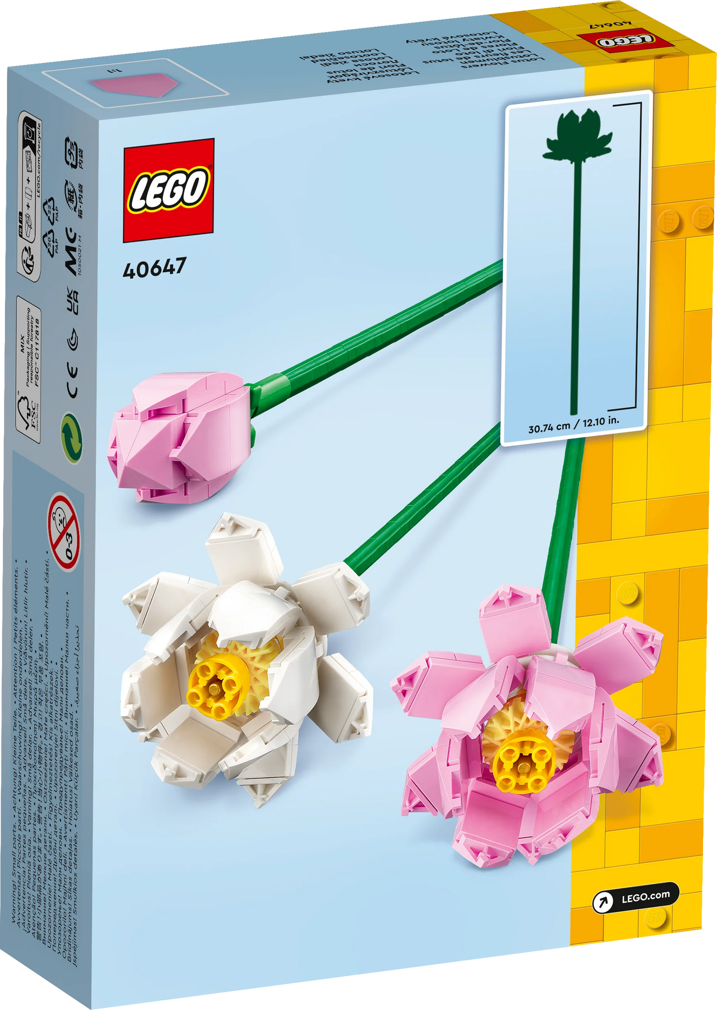 Flores de Loto