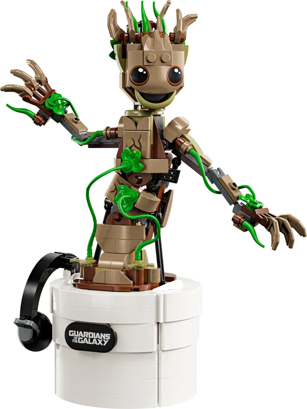 Groot Bailarín