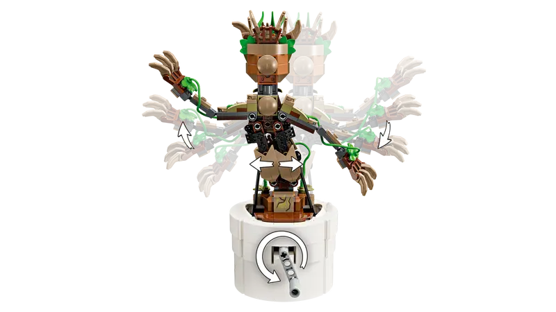 Groot Bailarín