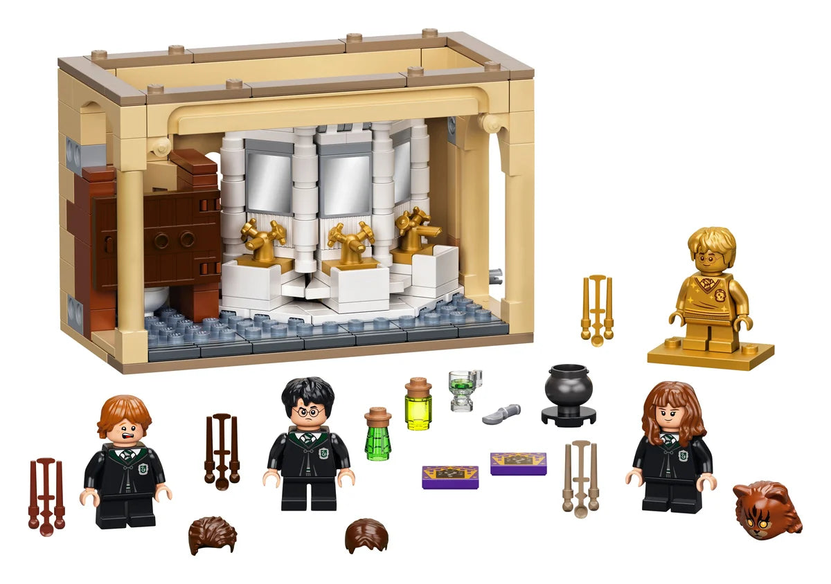Hogwarts™: Fallo de la Poción Multijugos