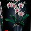 Orquídeas