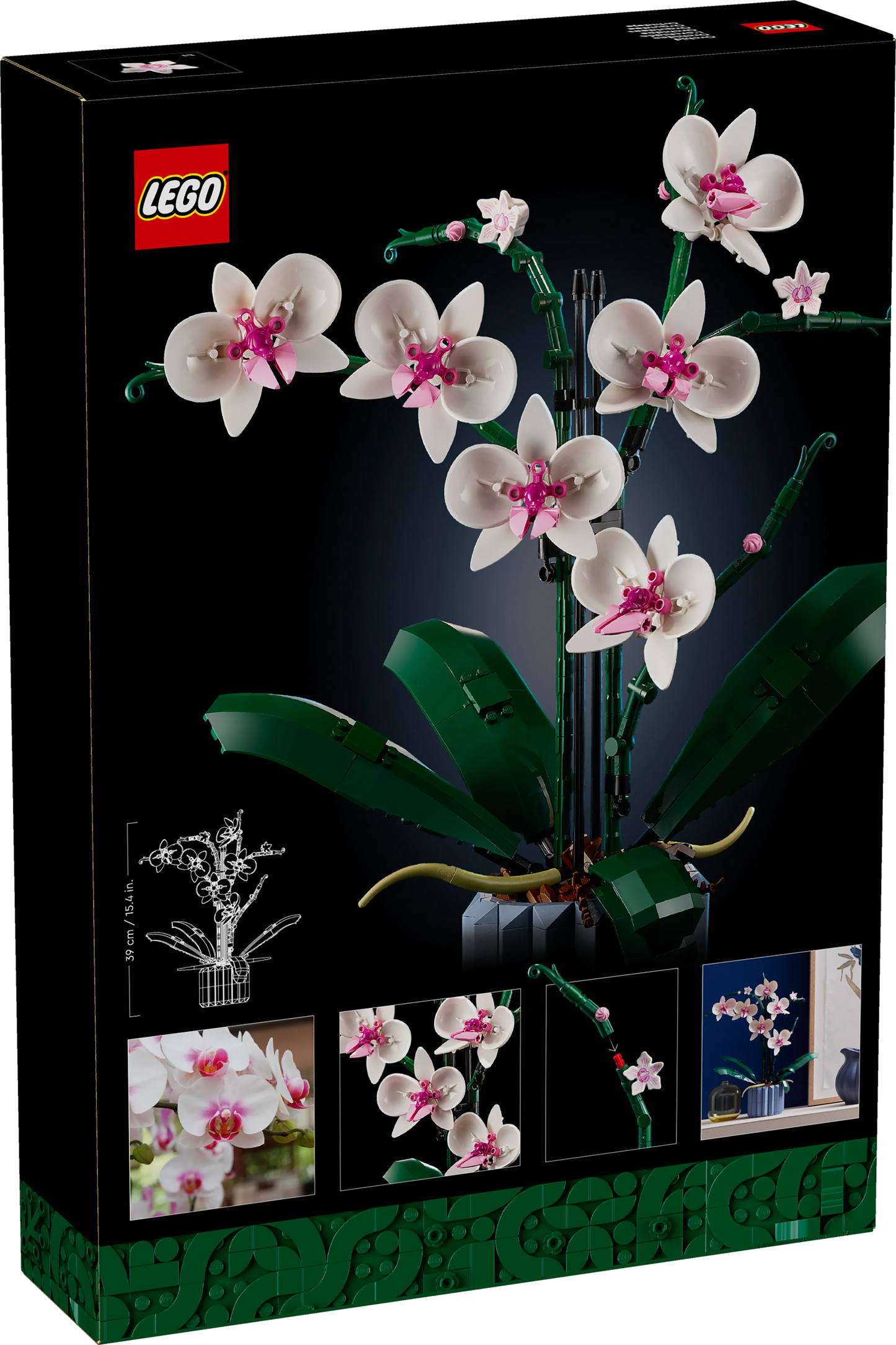 Orquídeas