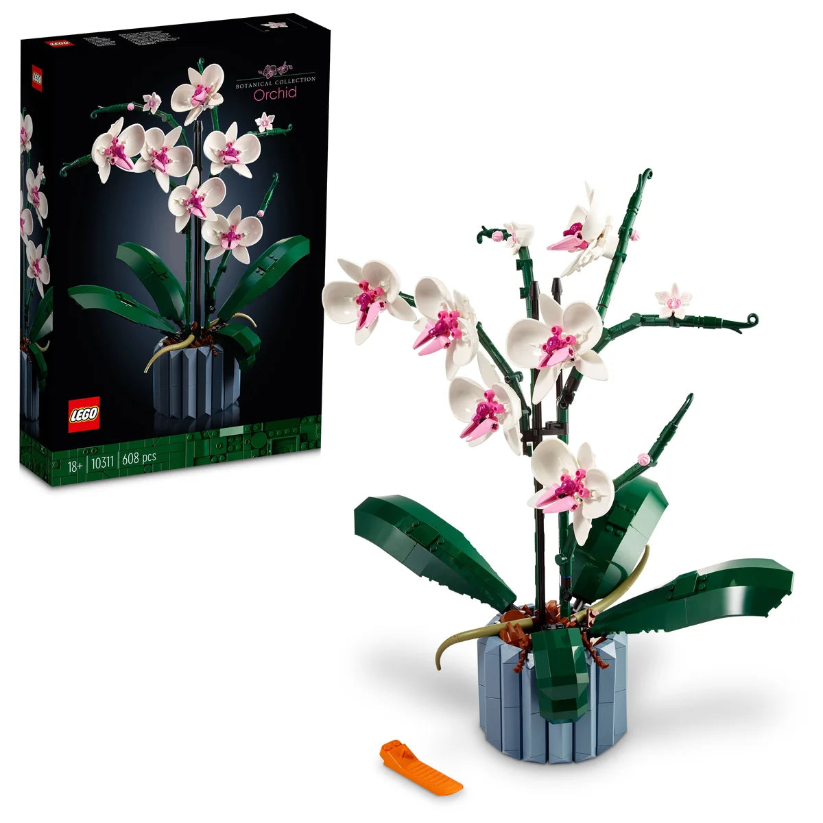 Orquídeas
