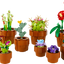 Plantas Diminutas