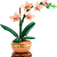 Miniorquídea