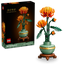 Crisantemo