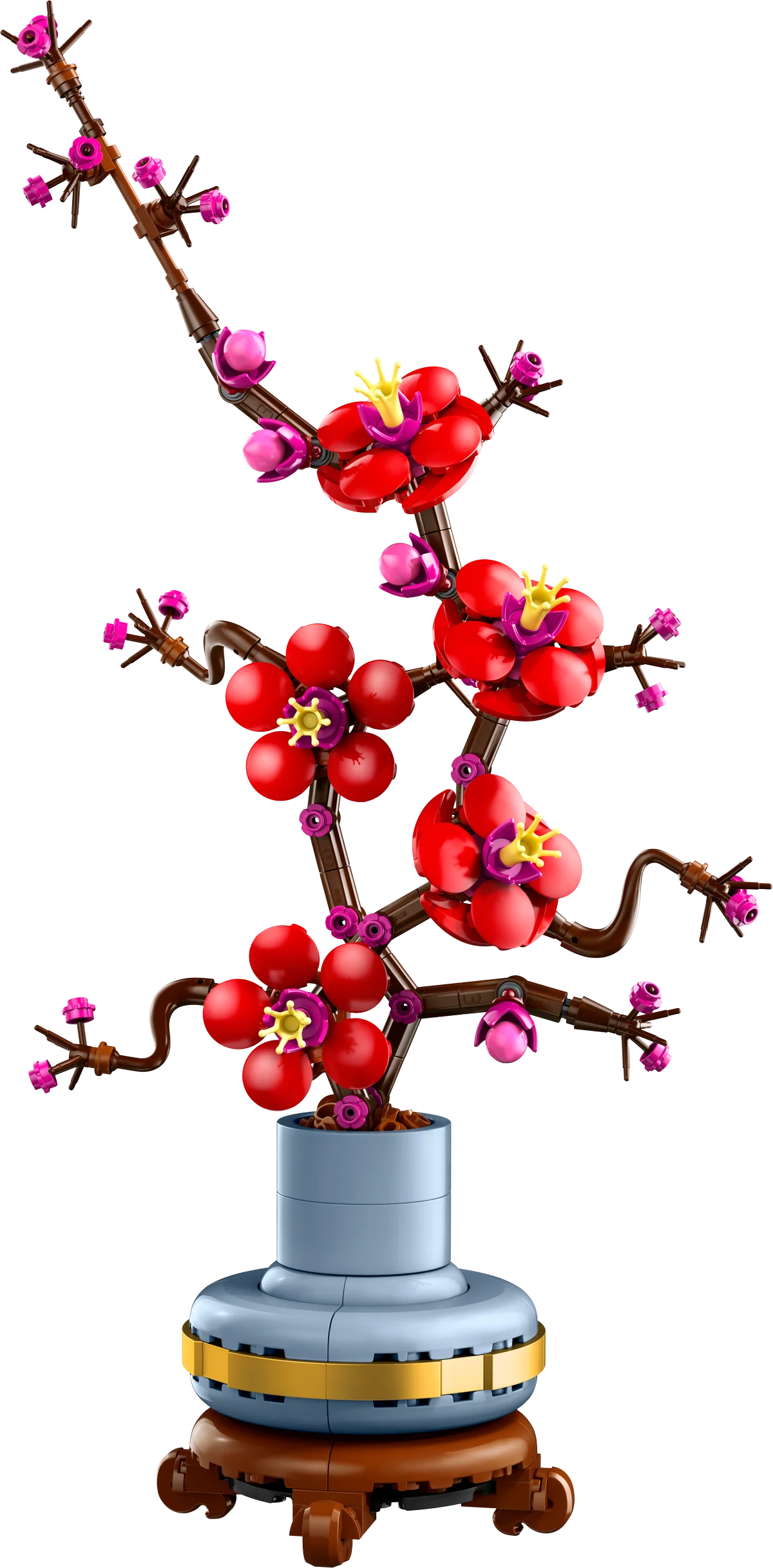 Flor de Ciruelo