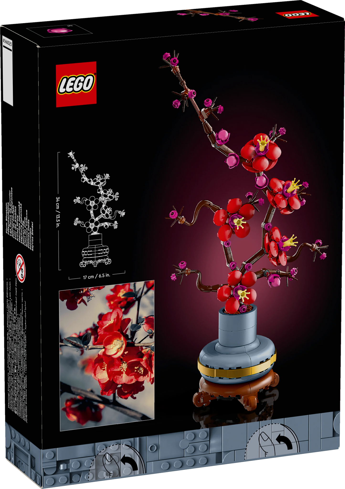 Flor de Ciruelo