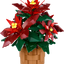 Flor de Pascua