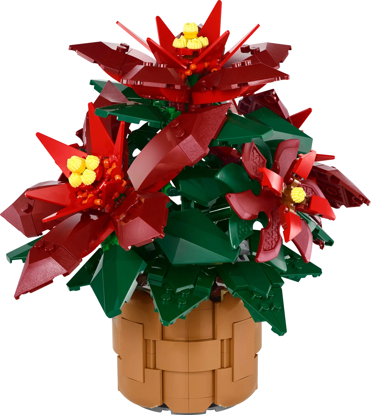 Flor de Pascua