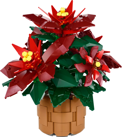 Flor de Pascua