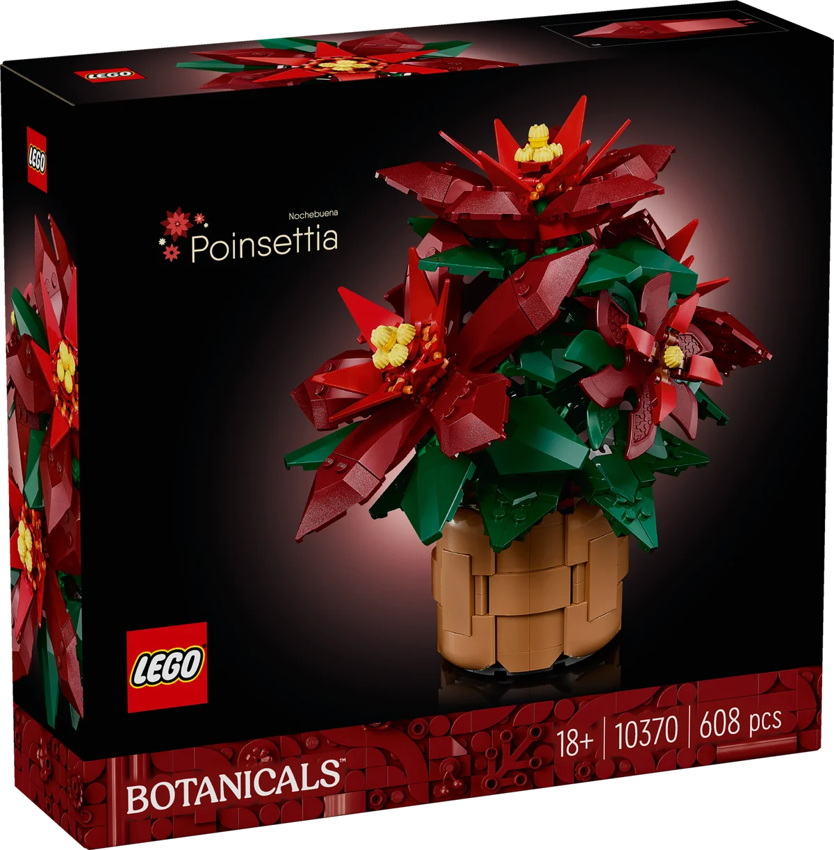 Flor de Pascua