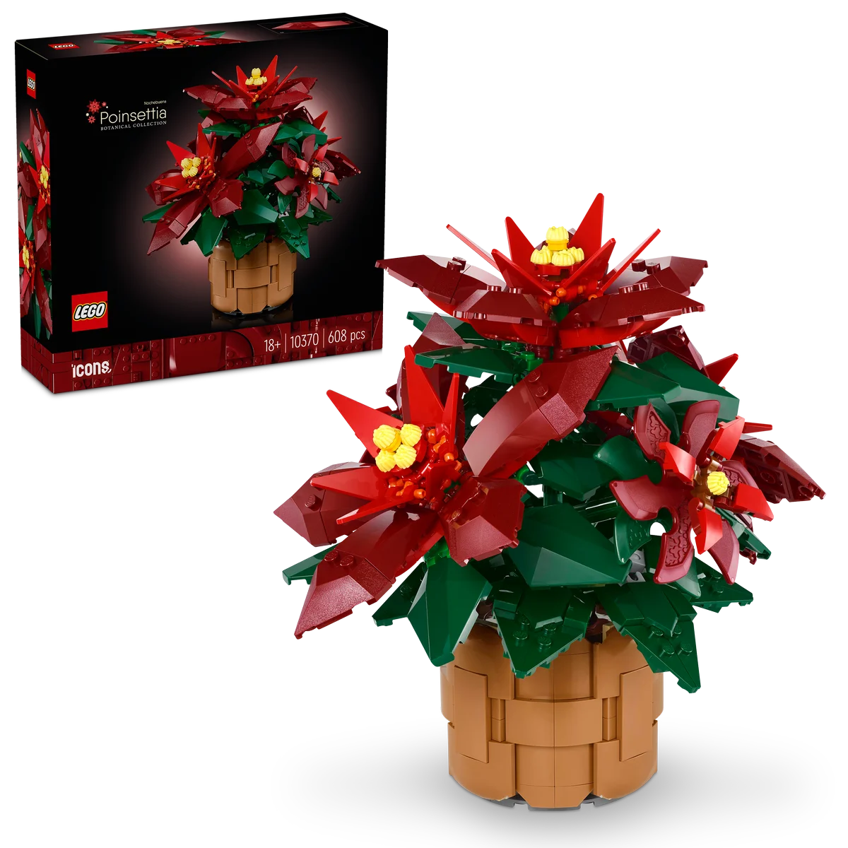 Flor de Pascua