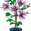 Hibisco