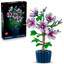 Hibisco