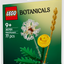 Flores de Campo