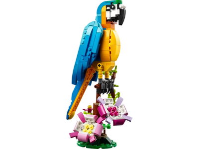 Loro Exótico