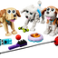 Perros Adorables