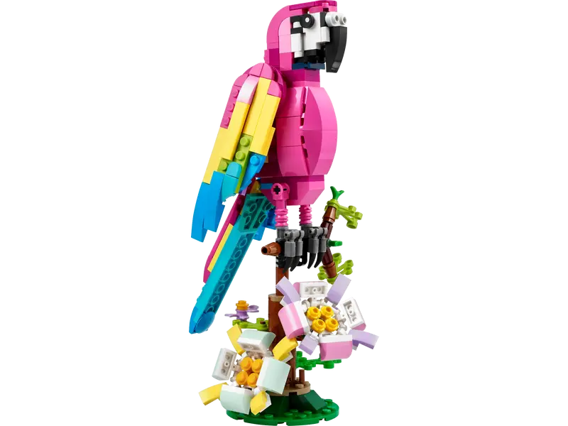 Loro Rosa Exótico