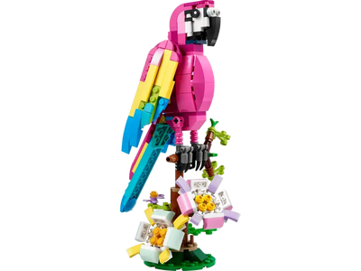 Loro Rosa Exótico