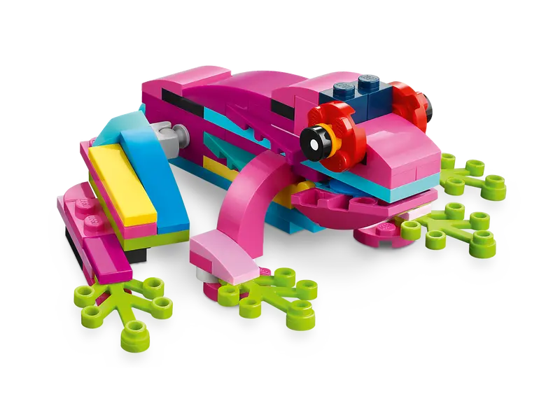 Loro Rosa Exótico