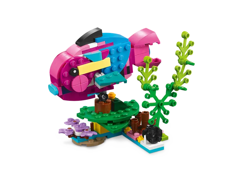 Loro Rosa Exótico