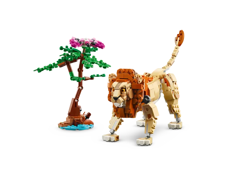 Safari de Animales Salvajes