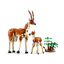 Safari de Animales Salvajes