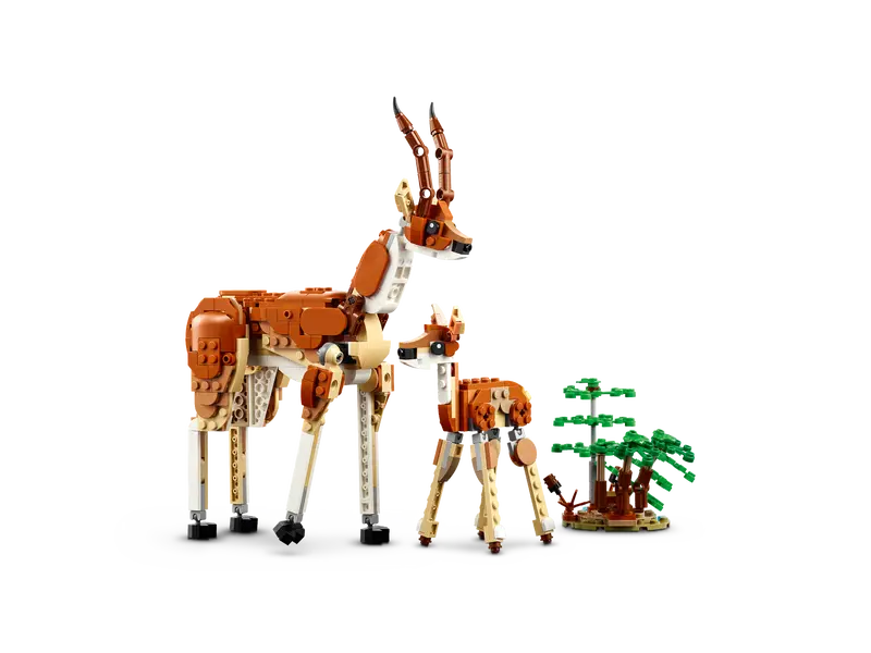 Safari de Animales Salvajes