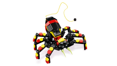 Fauna Salvaje: Araña Misteriosa