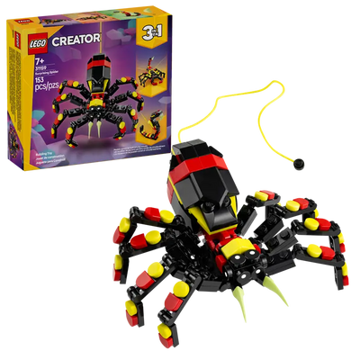Fauna Salvaje: Araña Misteriosa