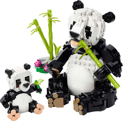 Fauna Salvaje: Familia de Pandas