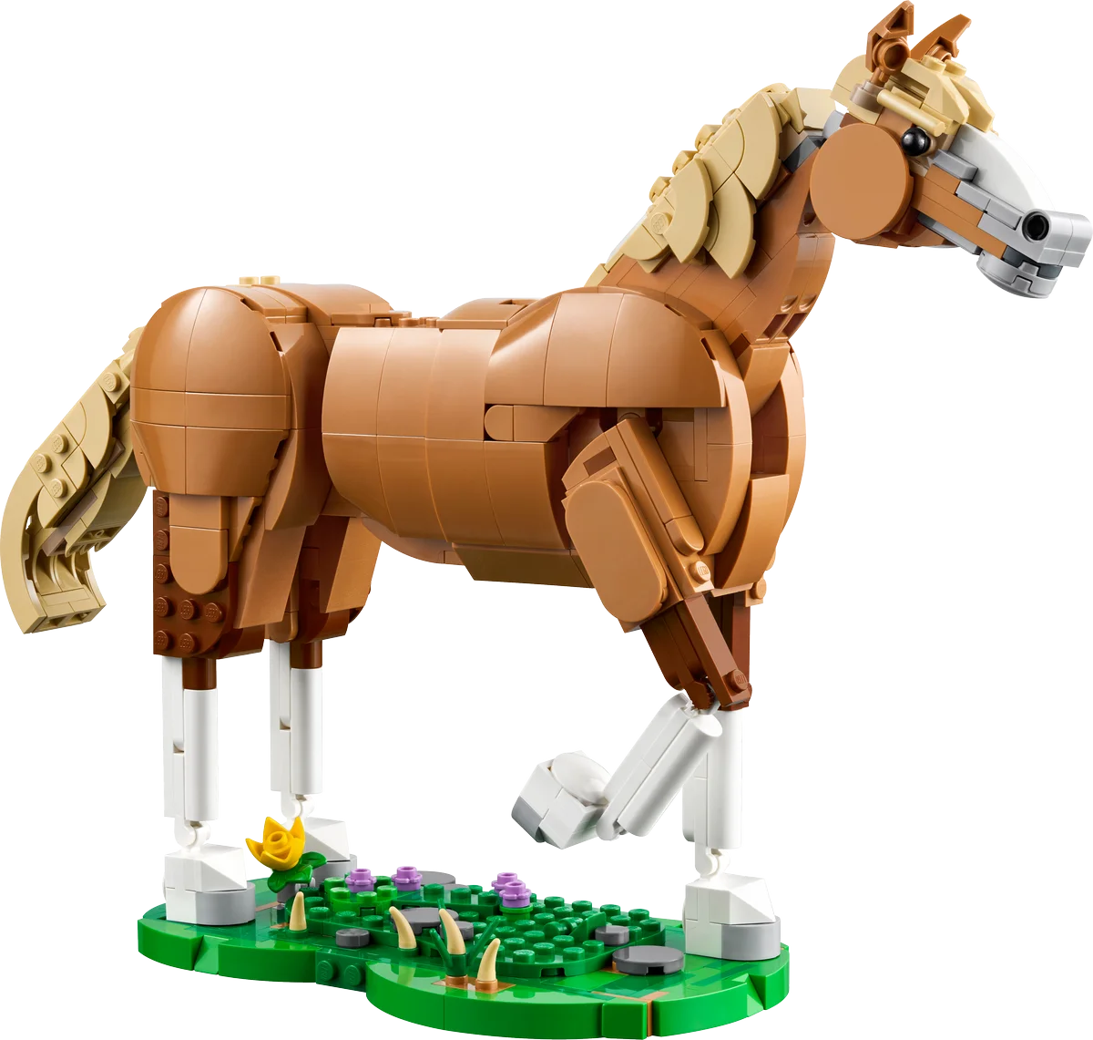 Caballo Noble