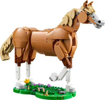 Caballo Noble