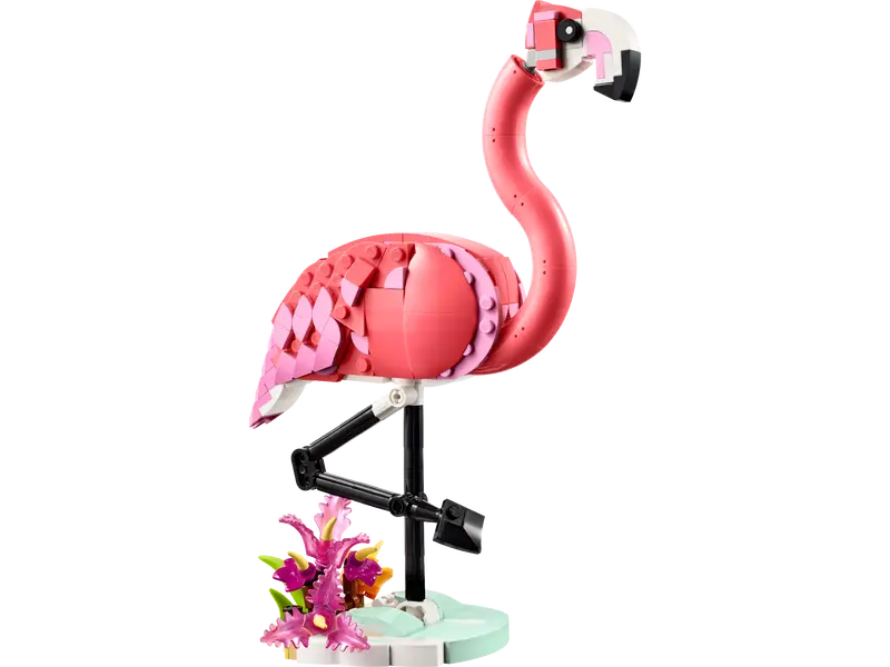 Fauna Salvaje: Flamenco Rosa