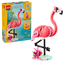 Fauna Salvaje: Flamenco Rosa