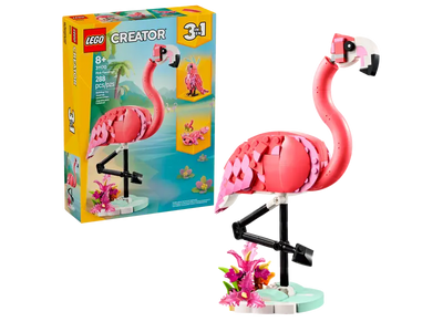 Fauna Salvaje: Flamenco Rosa