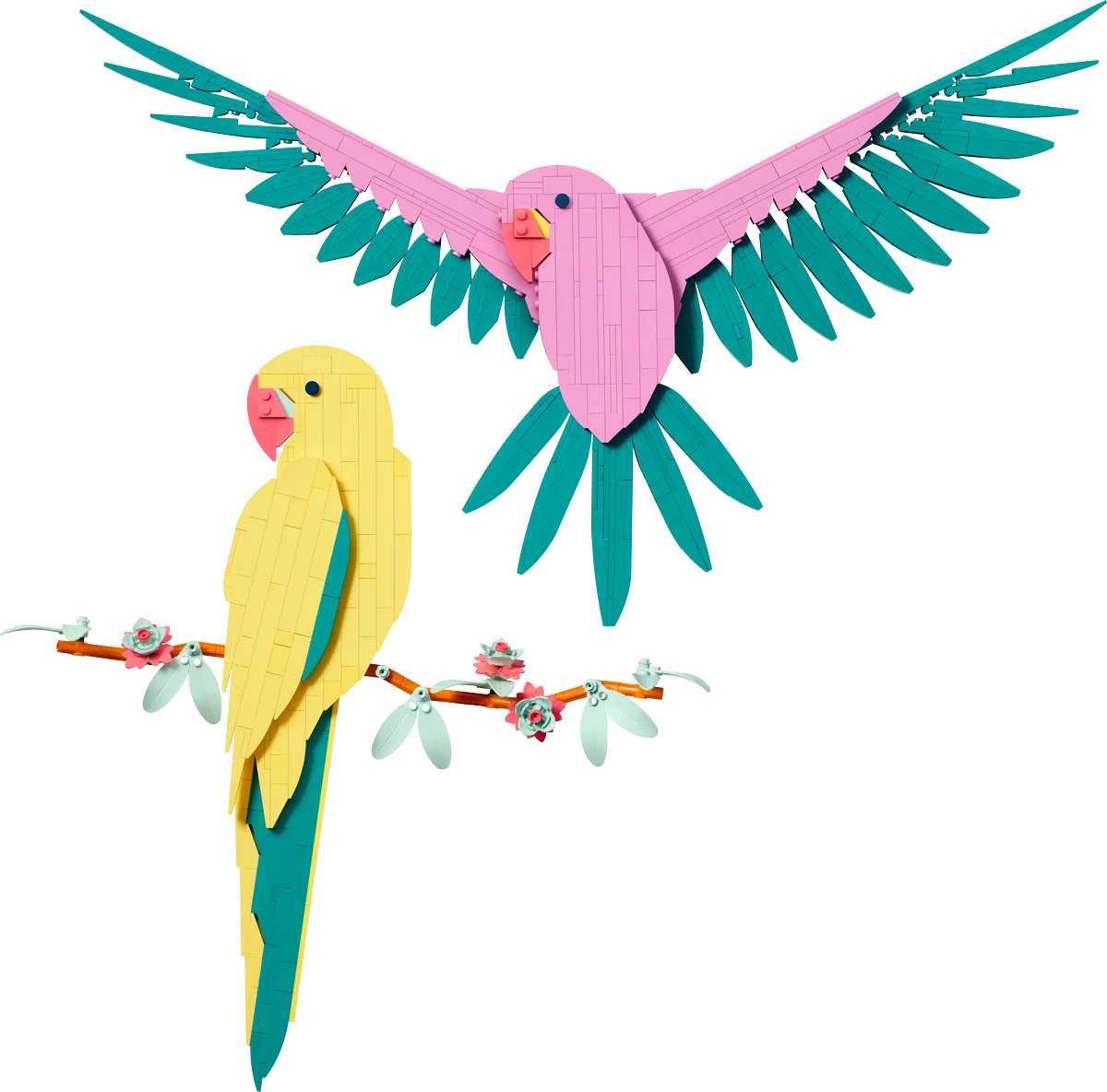 Colección Fauna: Guacamayos