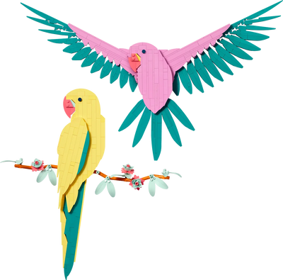 Colección Fauna: Guacamayos