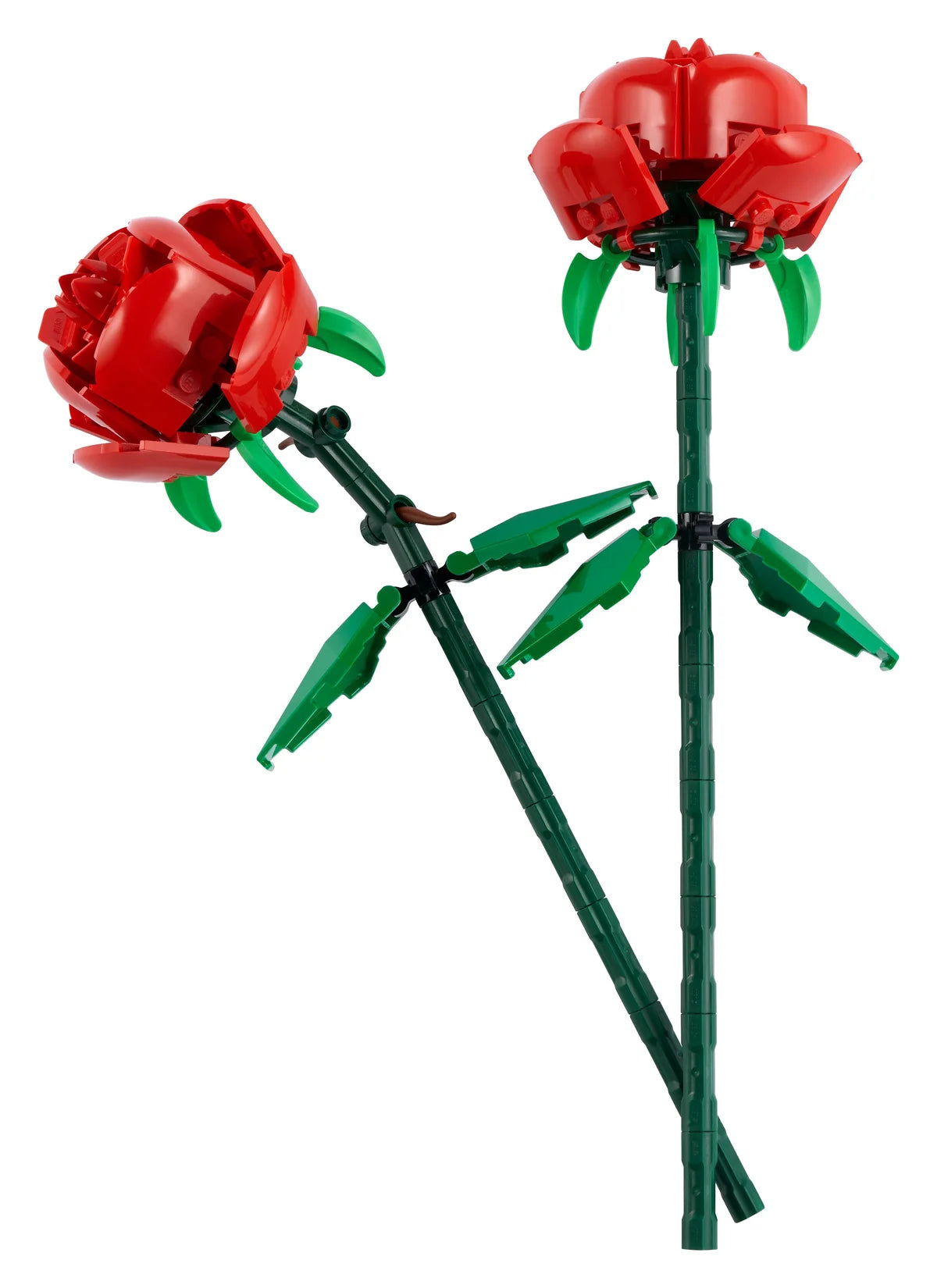 Rosas